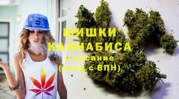 мдма Заводоуковск