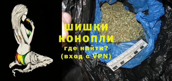2c-b Гусев