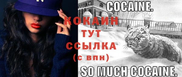 2c-b Гусь-Хрустальный