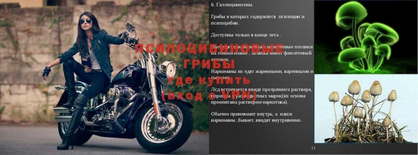 2c-b Гусев