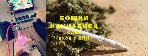 2c-b Гусев