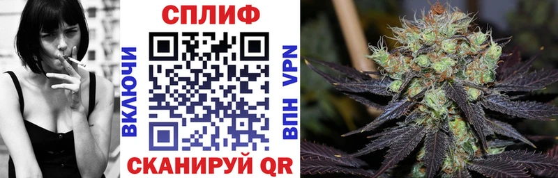Бошки Шишки семена где найти Далматово